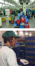 店別仕分け作業